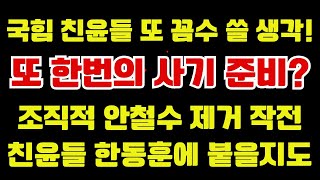 미친 국민의힘,  사기칠 준비?  조직적으로 안철수 제거?  친윤들이 한동훈에게 껄떡댄다?