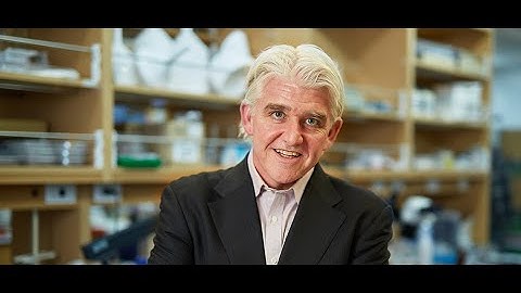 Introducing RIKEN CBS Laboratory for Circuit and Behavioral Physiology led by Thomas McHugh