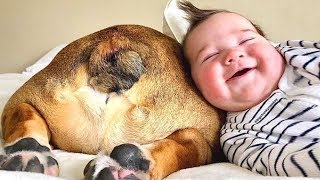 NEW 2019 Adorable Babies Playing With Dogs - Baby and Pet Video