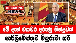 Hiru News | Government Special decision announcement from President Ranil wickremesinghe screenshot 4