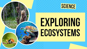 Exploring Ecosystems | Science Lesson