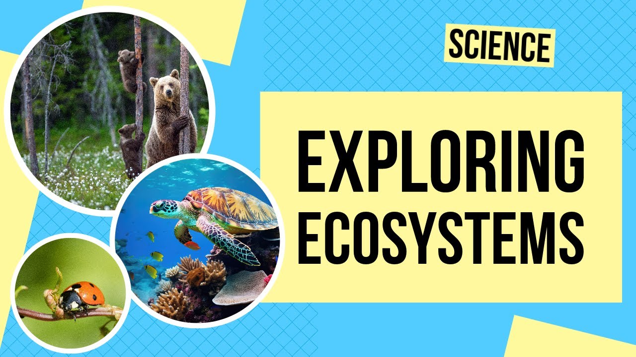 Exploring Ecosystems | Science Lesson