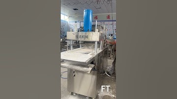 FT mung bean cake forming machine brown sugar molding machine