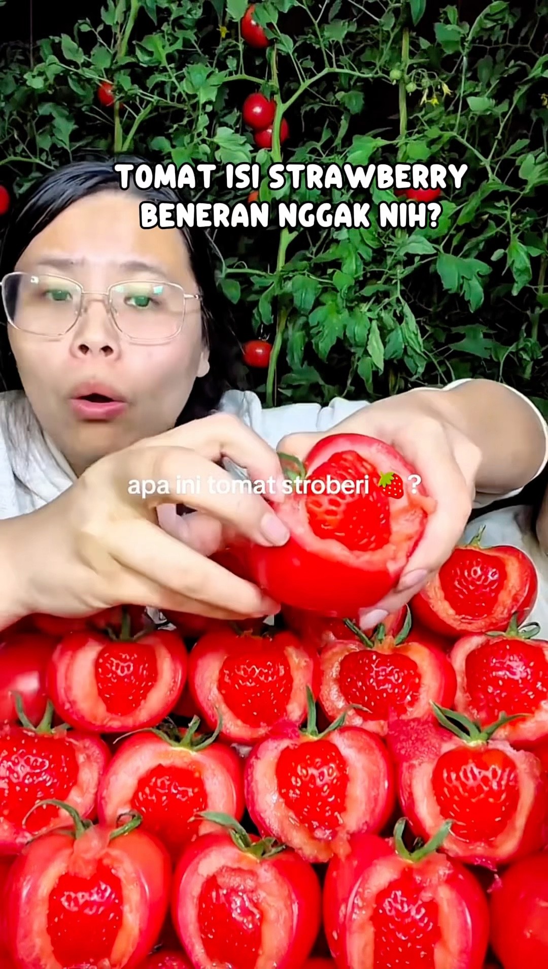 AJAIB❗️STRAWBERRY DIDALAM TOMAT