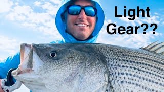 Heavy Gear is a LIE: Light Tackle Trophy Fishing