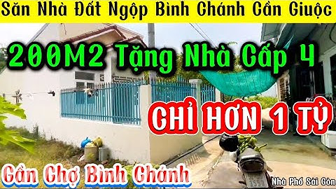 Mua Nhà Rẻ Như Mua Đất, Chỉ Hơn 1 Tỷ Có 200M2, Nhà Cấp 4(Phần 2) | Săn Đất Ngộp Bình Chánh Cần Giuộc