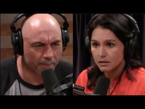 Tulsi Gabbard on Primaries: You Shouldn't Have to be A Card-Carrying Party ...