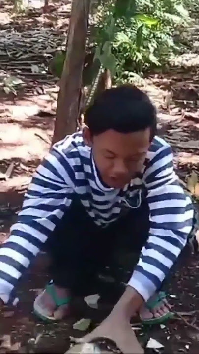 tida sengaja pas lagi video suara tonggeret di hutan terdengar suara kera meyan#subscribe mychannel