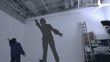 Shadow Up Project: Current Overview (March 2025)