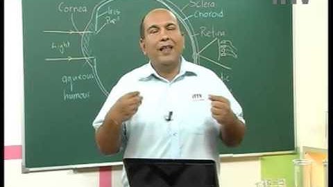 iTTV PMR/PT3 Form 3 Science #1 The World Through Our Senses (The Sense of Sight)