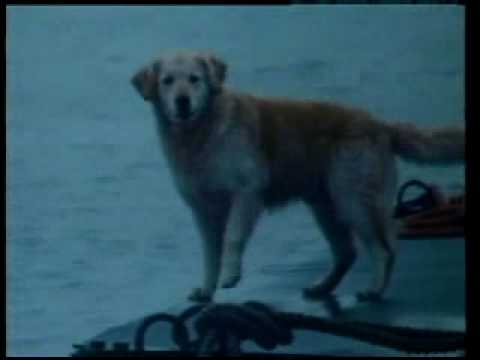 Douwe Egberts reclame (Woonboot) uit de jaren 80