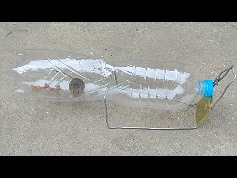 Мышеловка ИНЖЕНЕРА из пластиковой бутылки в действии