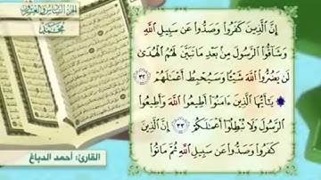 آية٣٢سورة محمد مكرر القارئ أحمد الدباغ