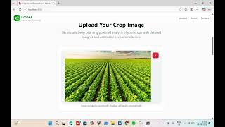Deep Learning Powered Crop Monitoring using image analytics