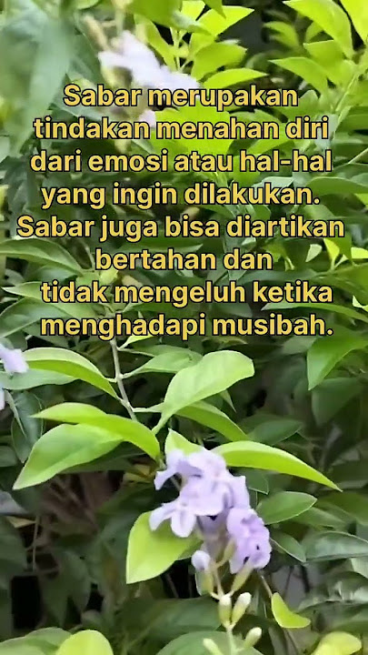 Self motivation, life motivation, success motivation, motivational words, wise words