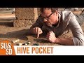 Hive Pocket - Shut Up & Sit Down Review