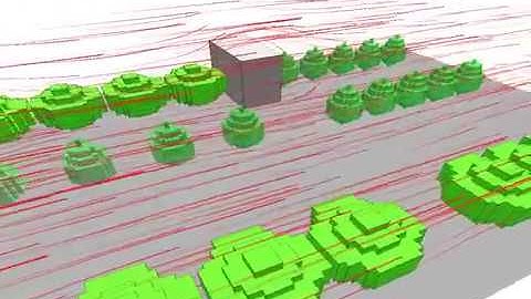 Wind load on urban trees