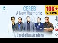 What is cereb   watch the by cerebellum academy