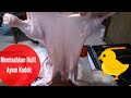 ayam kodok part 1(Cara memisahkan kulit Ayam)
