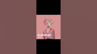 We Are Brothers - TUNE 7