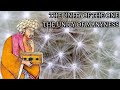 Ibn Arabi The Unity Of The One And Of The Many 