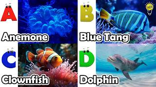 ABC phonics animals | English and Animals for Kids #angelfishs