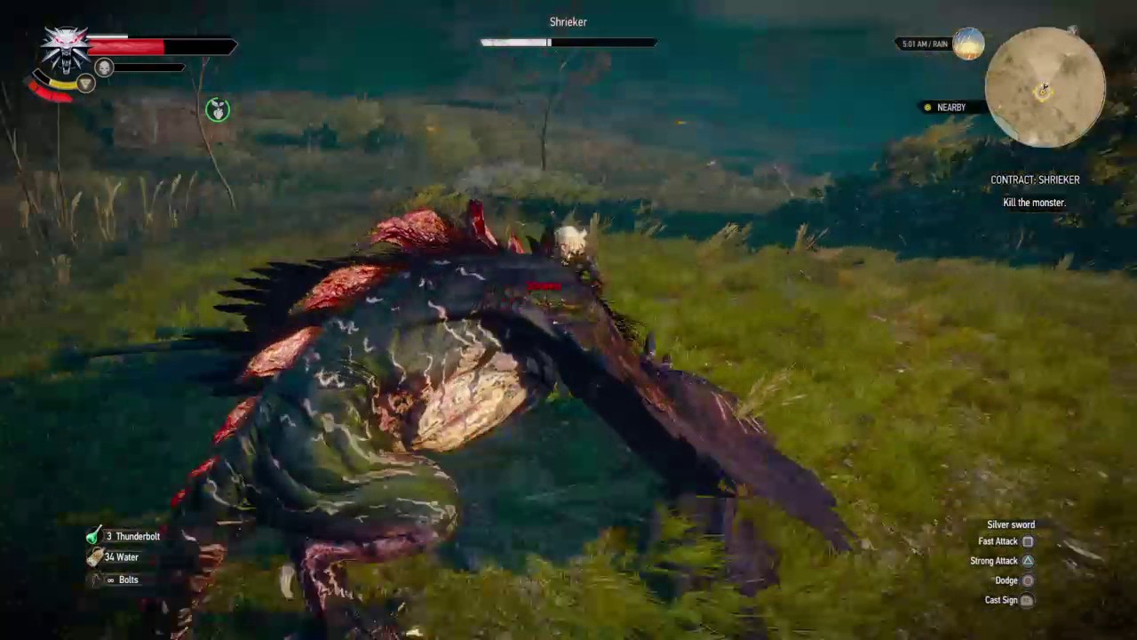 The Witcher 3 Epic Dragon Fight Leads To Stupid Death Youtube