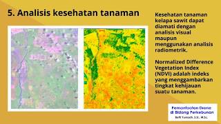 Pemanfaatan Drone Di Perkebunan Kelapa Sawit