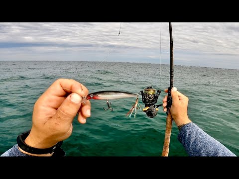 Ocean Fishing - Trolling, Casting, & Jigging For Whatever Bites