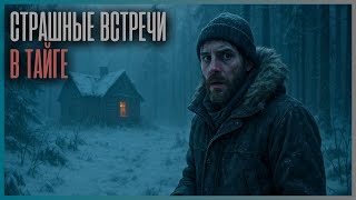 видео: 8 ЖУТКИХ ВСТРЕЧ В ТАЙГЕ | СТРАШИЛКИ НА НОЧЬ картинка: 8 ЖУТКИХ ВСТРЕЧ В ТАЙГЕ | СТРАШИЛКИ НА НОЧЬ
