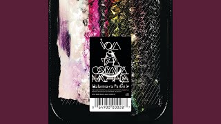 VOLA & THE ORIENTAL MACHINE - Internal Division