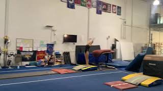 Yurchenko 1/2 progression update