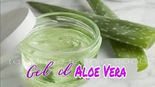 Comment conserver le gel d'aloe vera fait maison ?