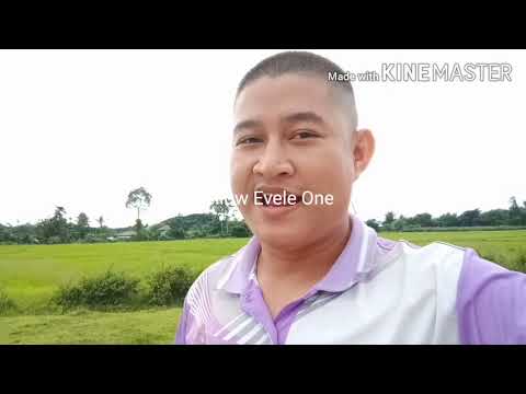 แกงฮังเล อาหารประจำภาคเหนือ : บรรยายเป็นภาษาอังกฤษ