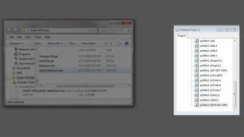 DNASTAR - Importing Vector NTI Data into SeqBuilder