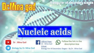 Nucleic acids - Biology for first secondary - Dr . Mina Gad