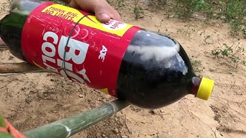 You ever know about Installing Bird Trap using Big Coca Cola ( 3L ) ?