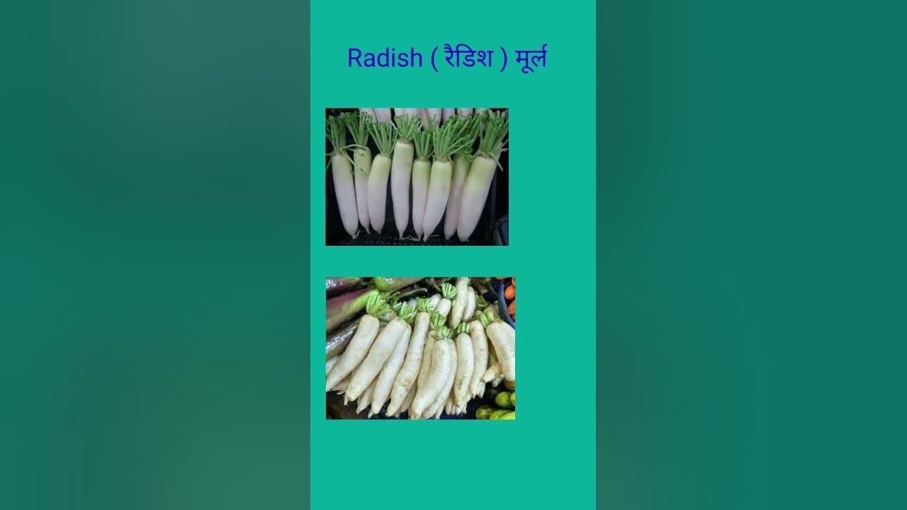 Sabjiyo Ke Name englishmeaning gyan video education shortvideo sabjiyo-ke-name-englishmeaning-gyan-video-education-shortvideo
