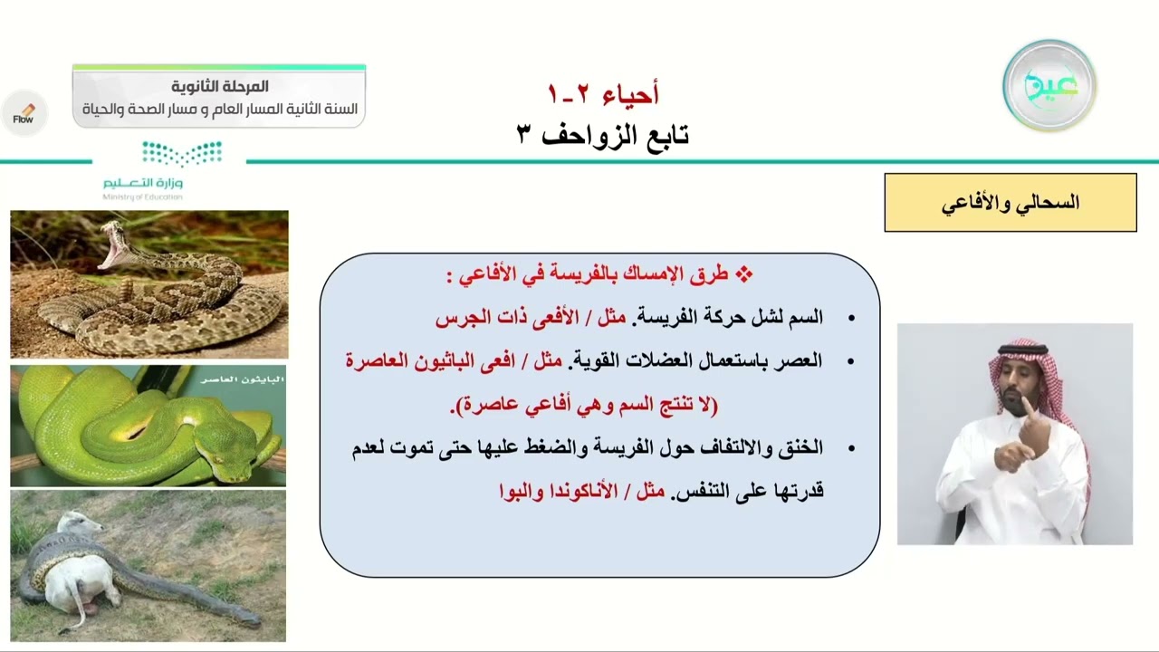 تابع الزواحف 3 - الأحياء (2-1) - المسار العام والصحة والحياة - السنة الثانية - الفصل الدراسي الأول
