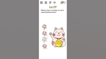 [ Brain Out ] Brain Out Level 77 😁