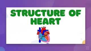 Structure Of The Heart Learnstalk Biology