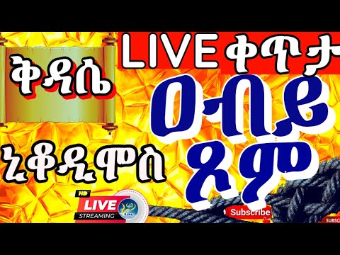 ቪዲዮ: ቲም አርምስትሮንግ (AOL ዋና ስራ አስፈፃሚ) ኔትዎርዝ፡ ዊኪ፣ ያገባ፣ ቤተሰብ፣ ሰርግ፣ ደሞዝ፣ እህትማማቾች