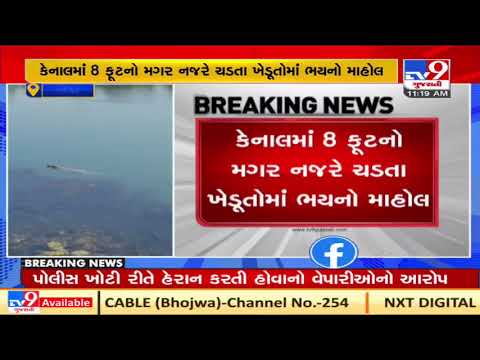 Kheda: Farmers panic after Crocodile is spotted in Narmada canal | TV9Gujaratinews