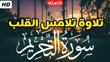 سورة التحريم (كاملة)❤️ ||سكينة وهدووووء😴💕 || شريف مصطفى🌸