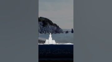 ‏تلاوة طيبة تريح القلب بصوت الشيخ منير السعدي