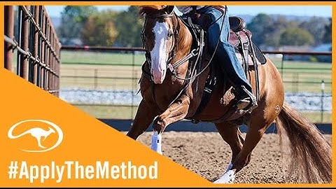 Training Tip: How Rollbacks on the Fence Can Improve Your Horse