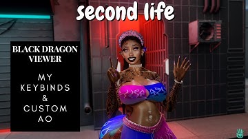 Second Life | Black Dragon | How-To | Keybinds & Custom AO