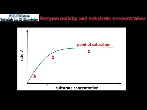 Video: Jak se mění aktivita enzymu, když koncentrace substrátu klesá?