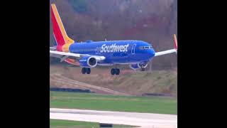 Fast 💨🤩 Southwest B737 Landing! #planespotting #aviation #pilot #shorts #boeing #cockpit