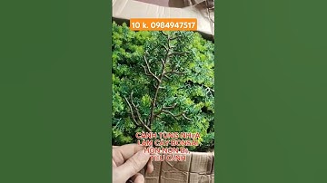 Cành tùng nhựa làm bonsai, bể cá,  tiểu cảnh hòn non bộ #bonsai #caygia #handmade #decor #trangtri #
